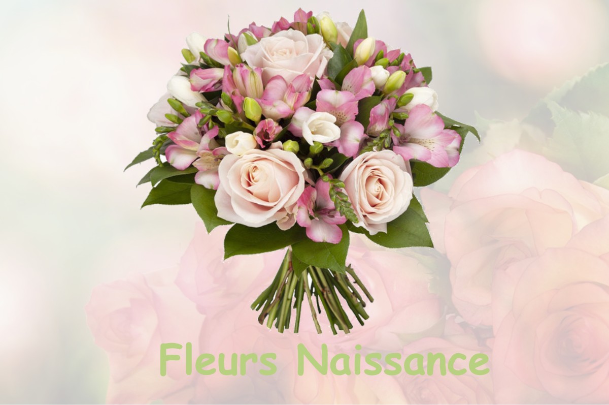 fleurs naissance COMMELLE