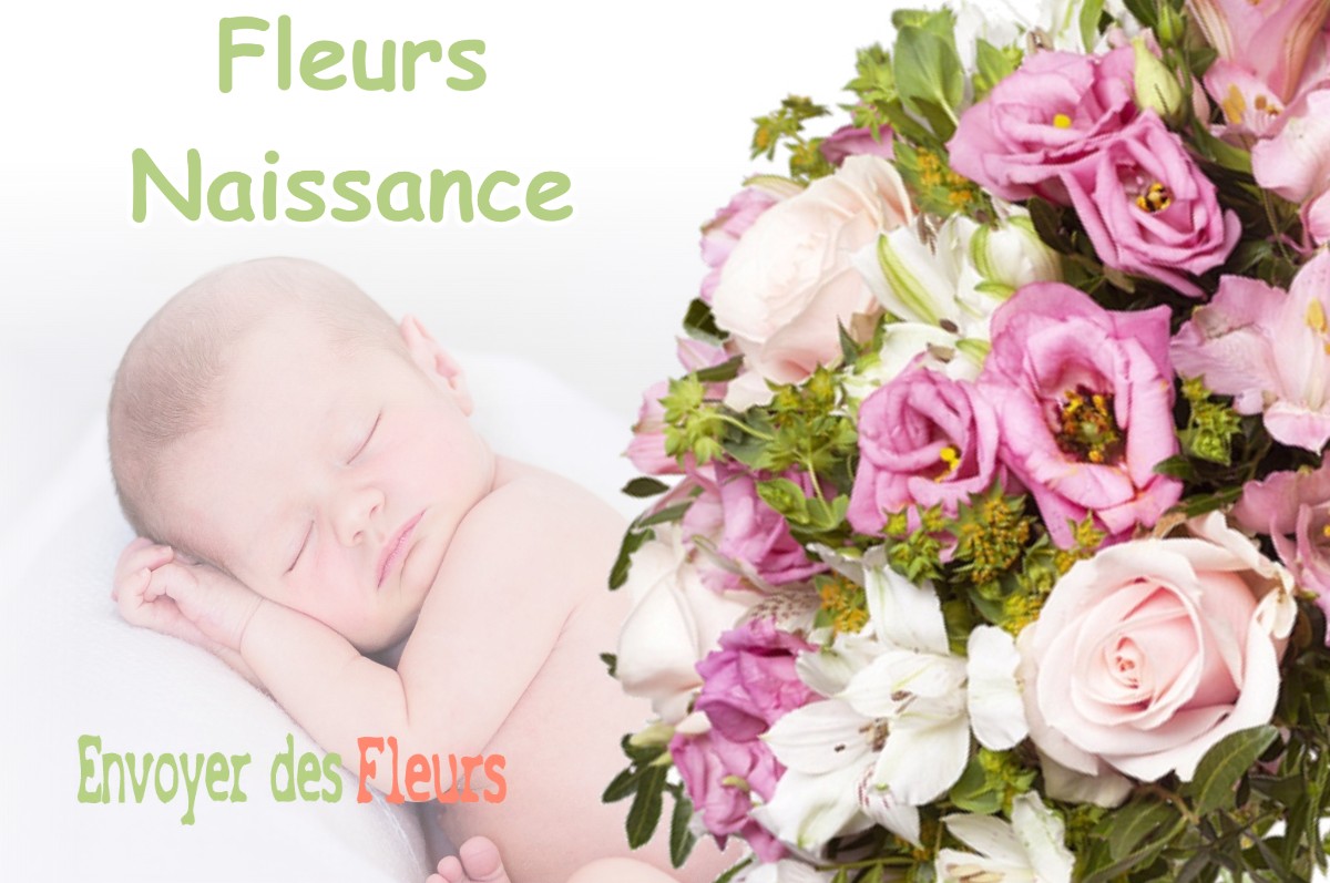 lIVRAISON FLEURS NAISSANCE à COMMELLE